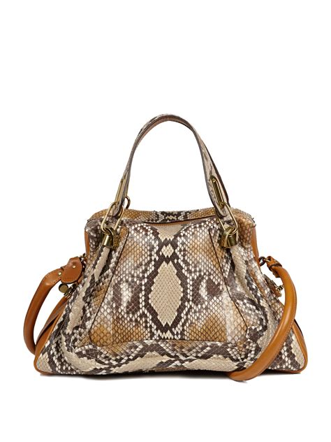 chloe paraty python replica|Chloe Paraty Bag Reference Guide .